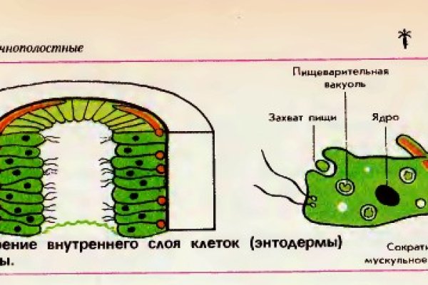 Kraken зеркало тор ссылка