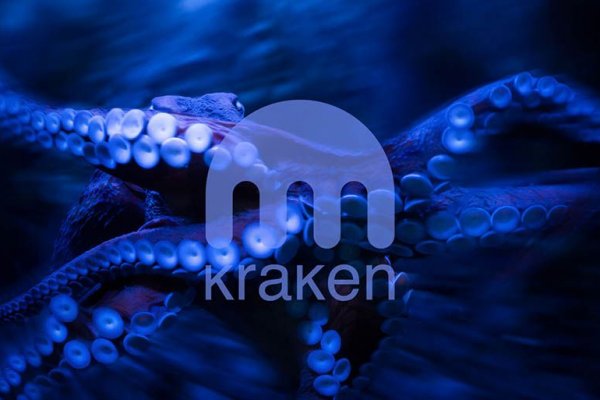 Kraken tor 2krnk biz